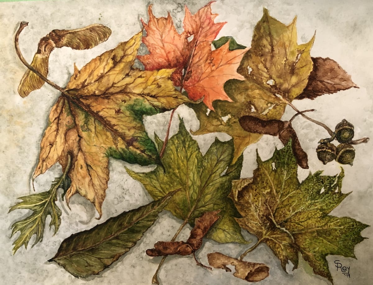 Fall Leaves by Silvia Maria Rey 