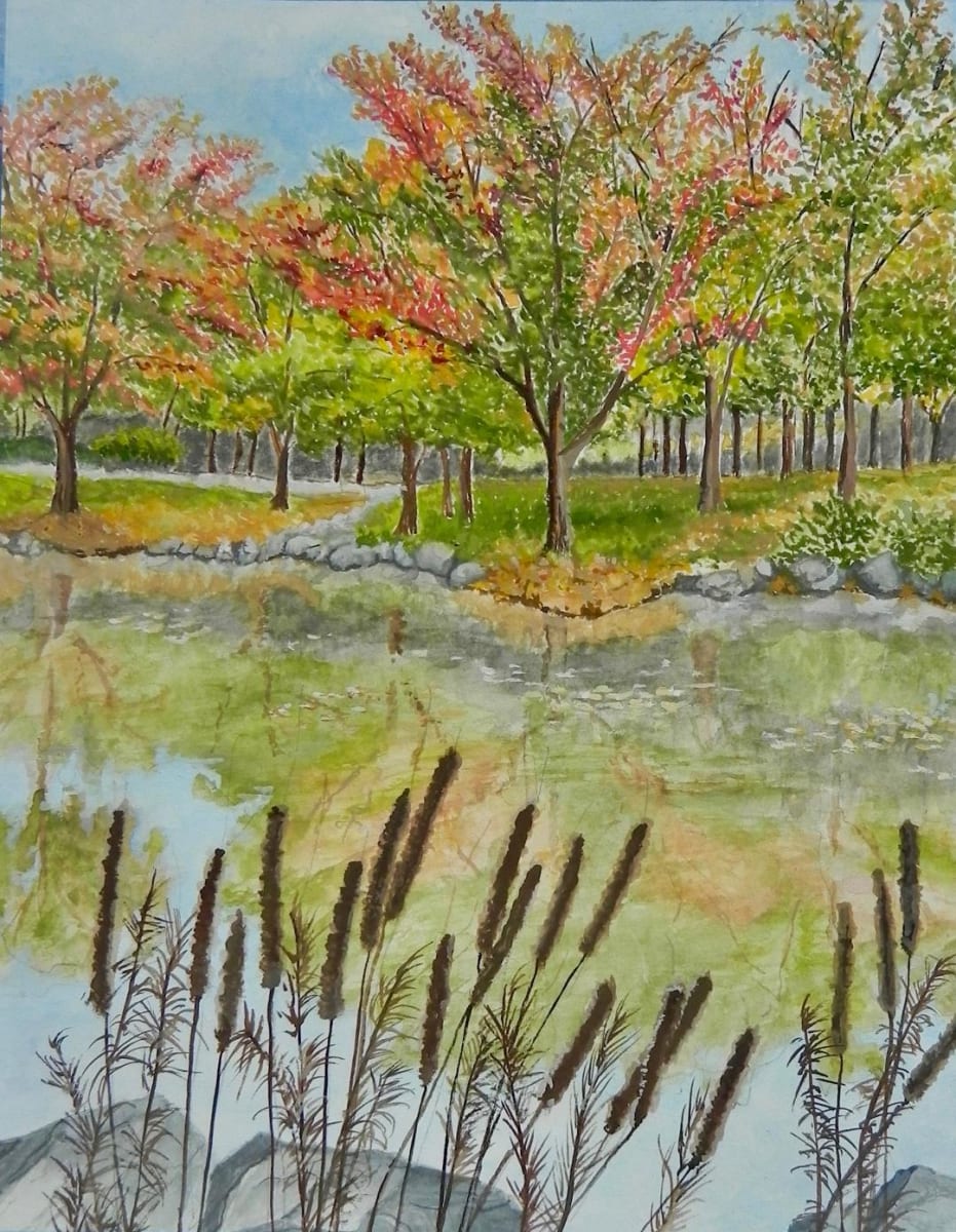 Cattails at the Pond in Old Westbury Long Island by Monica Jane Rich, Image 11.