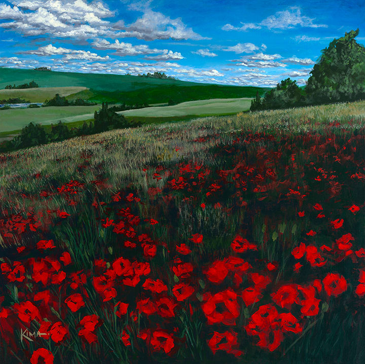 Field of Poppies by Kim A. Richards 