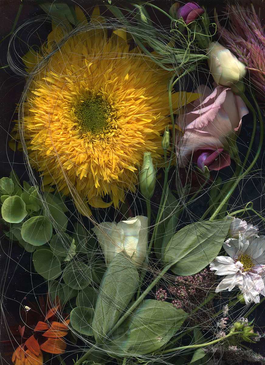 Untitled by Jan Riley 