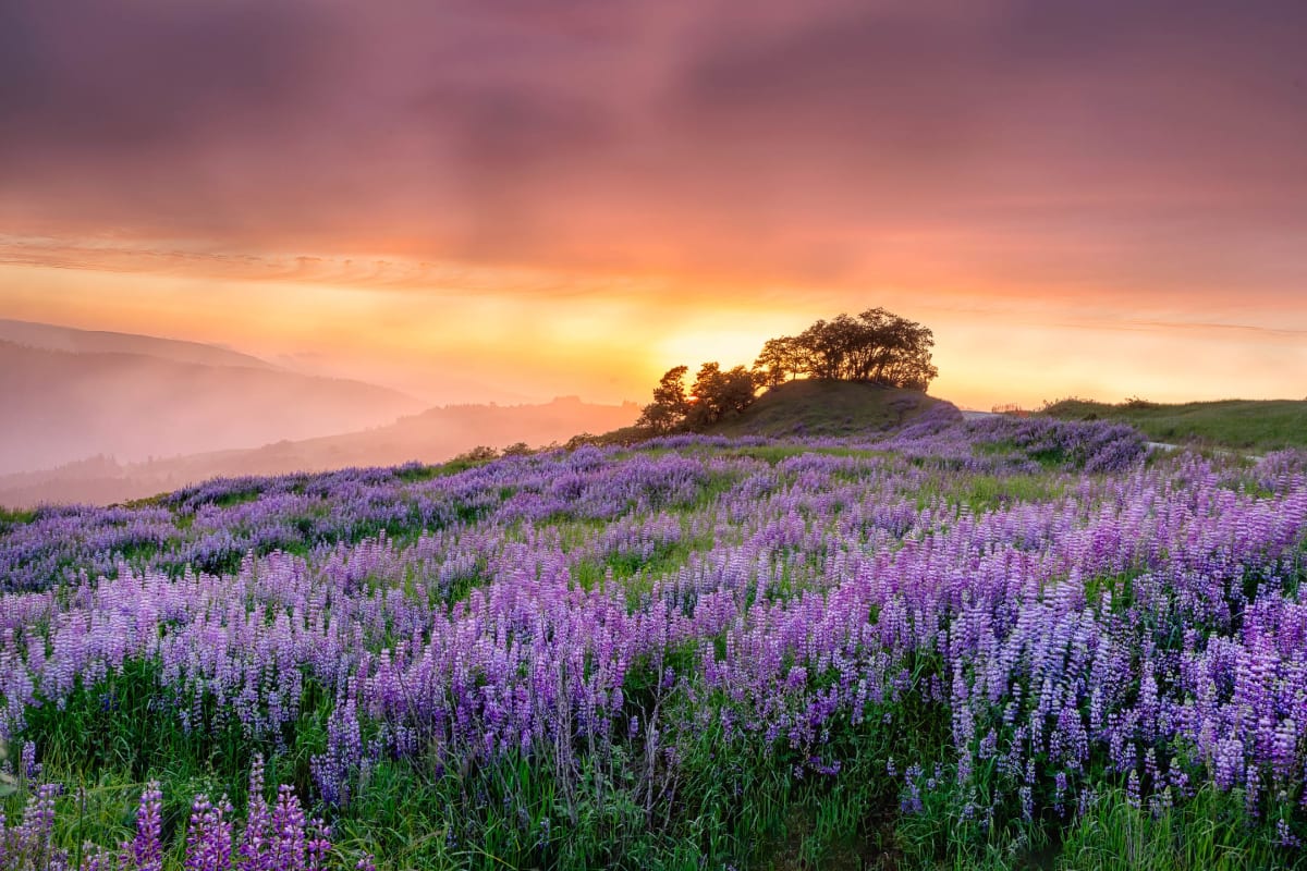 End of Day by Jason M. Roberts, Image 14.