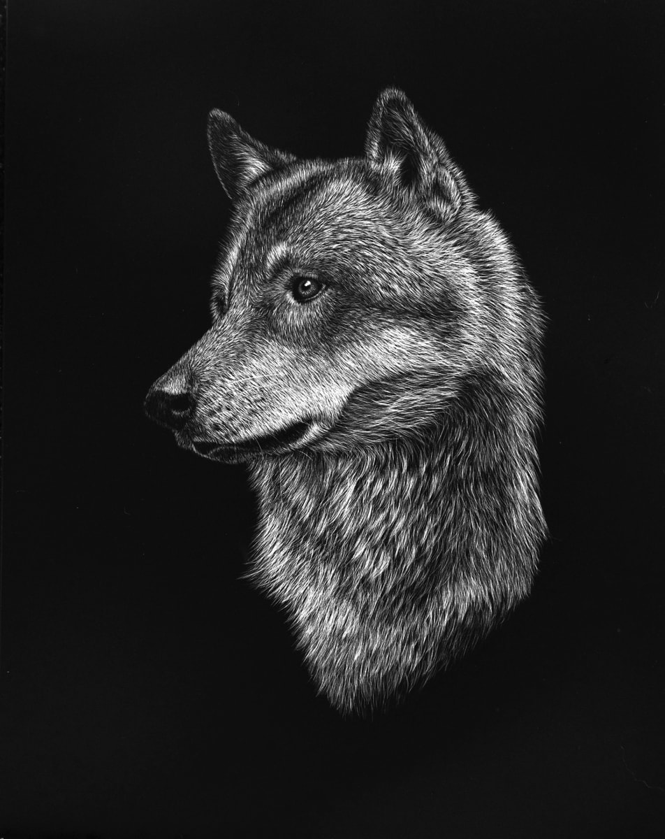Canis Lupus by Ariel Rodriguez 