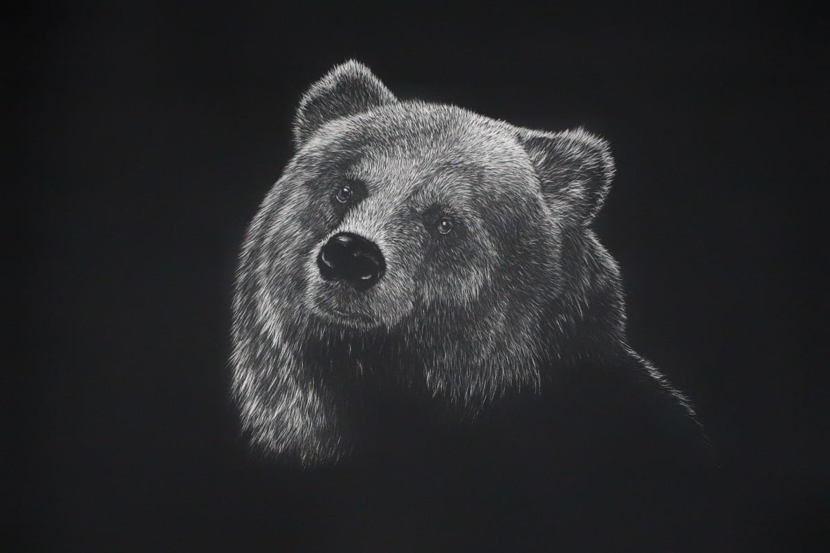 Winnie the Who? by Ariel Rodriguez 