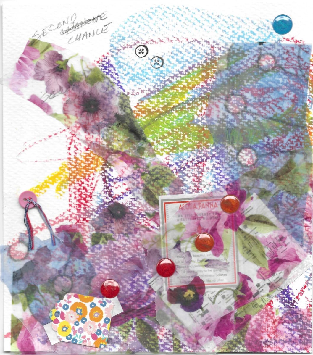 Second Chance by Barbara Rogoff 