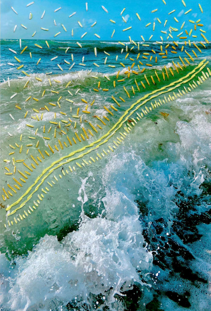 Narrow Edge #5 by Debora Rosental, Image 12.