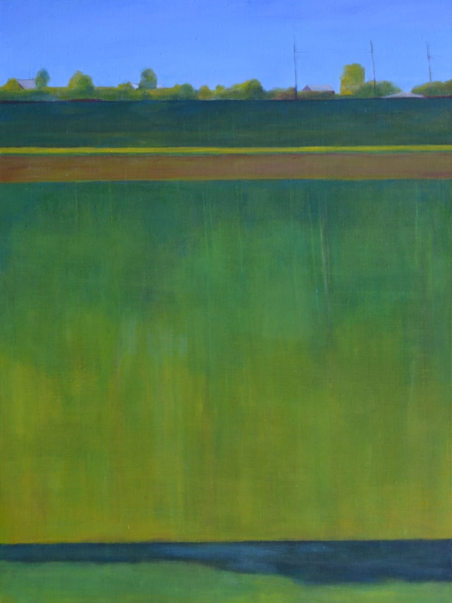 Suburbia by Dawn Marie Rozzo, Image 5.