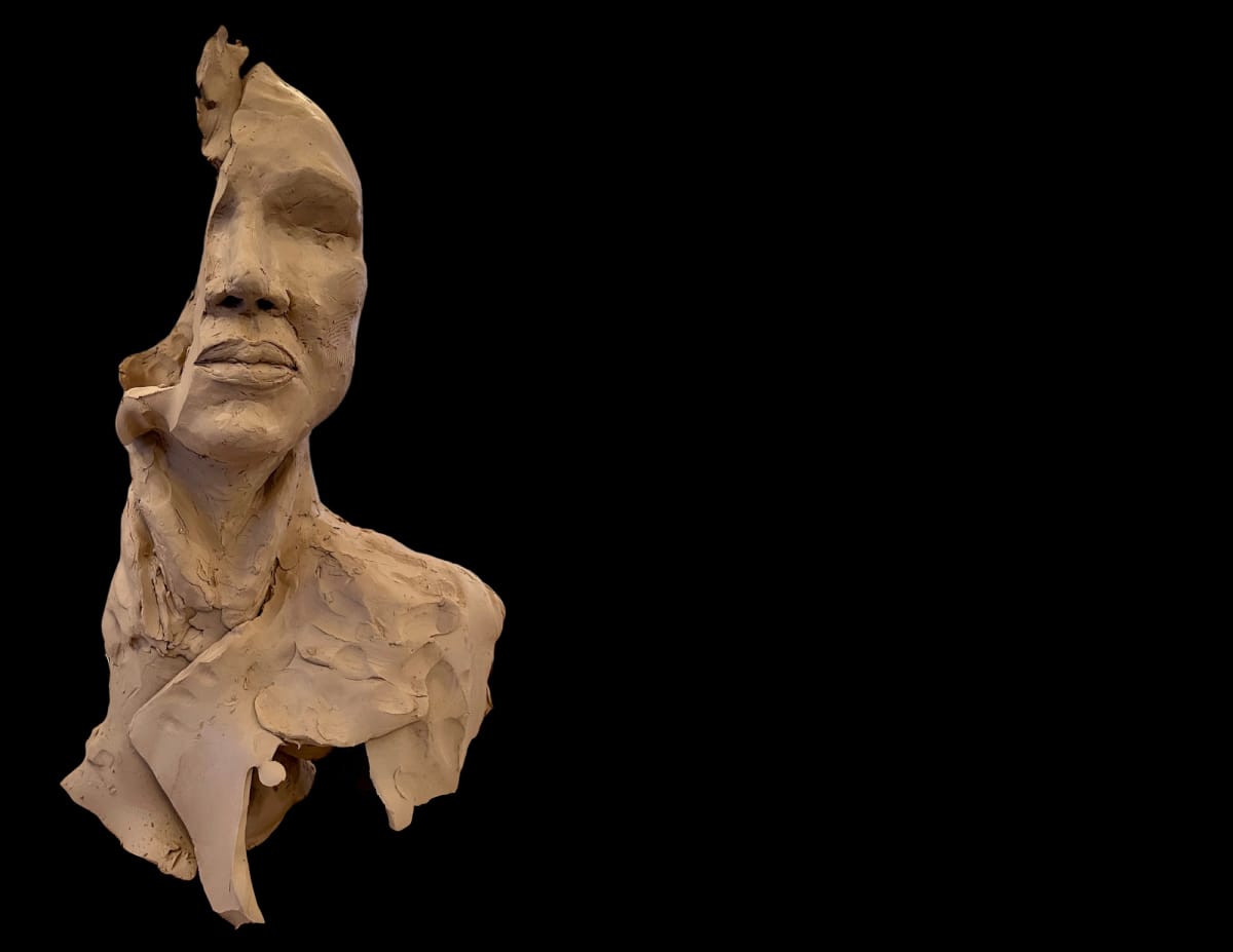 The Vanishing by Alexandra Scepanovic, Image 13.