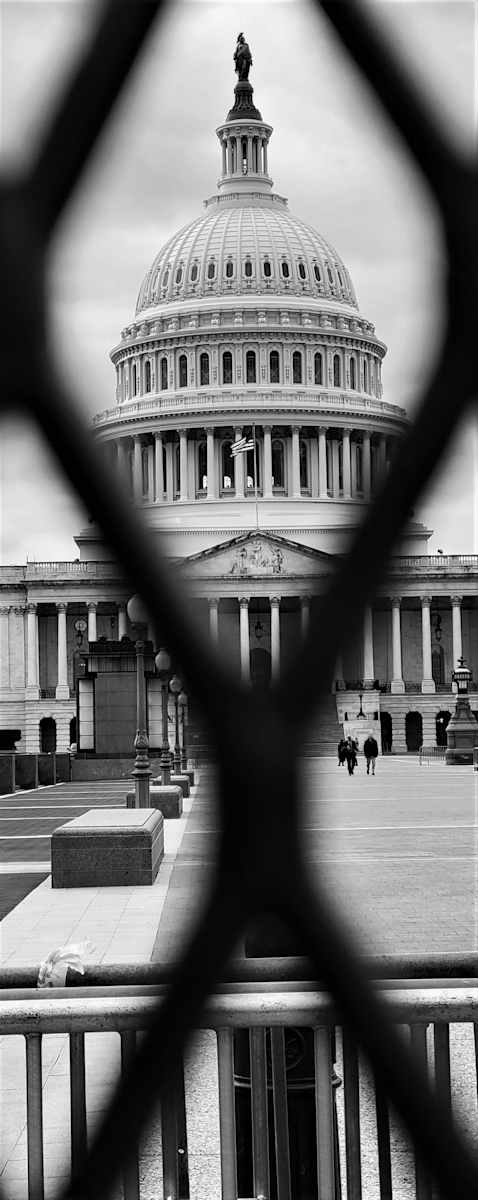 Fenced In or Fenced Out? by Marilyn Saks-McMillion, Image 1.