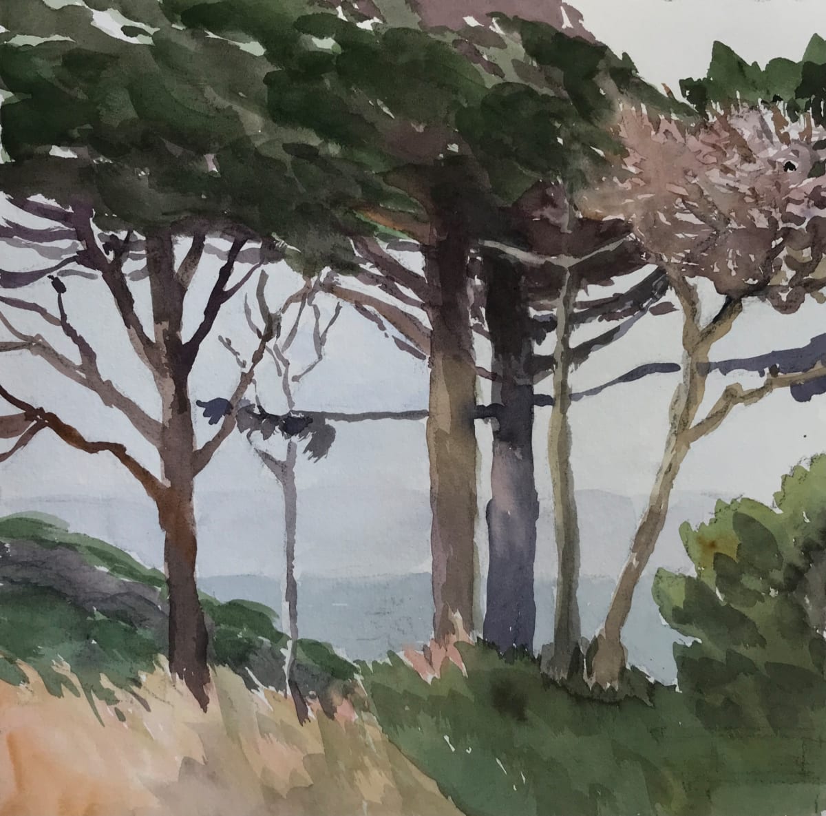 Coastal Trees by Christine Schulbach 