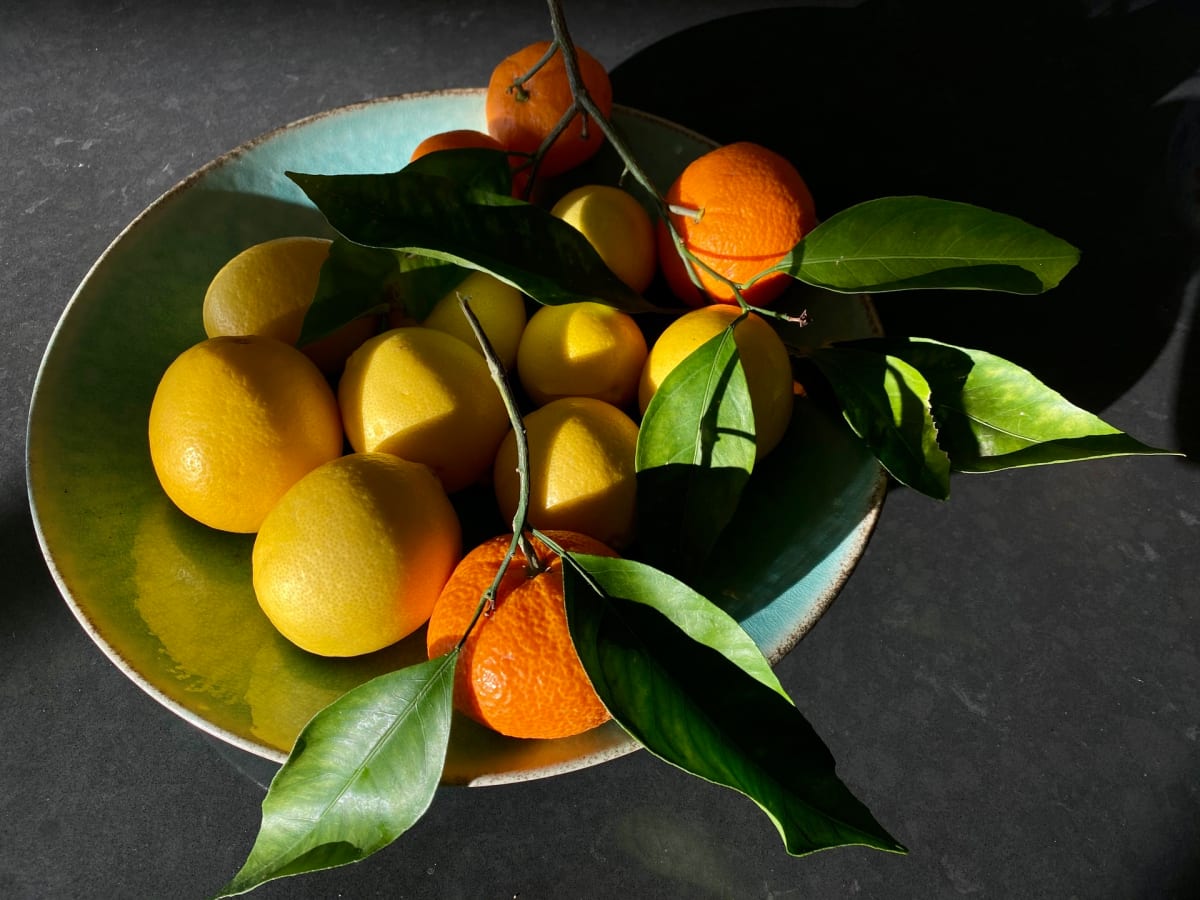 Citrus and Shadow by Miriam Schulman 