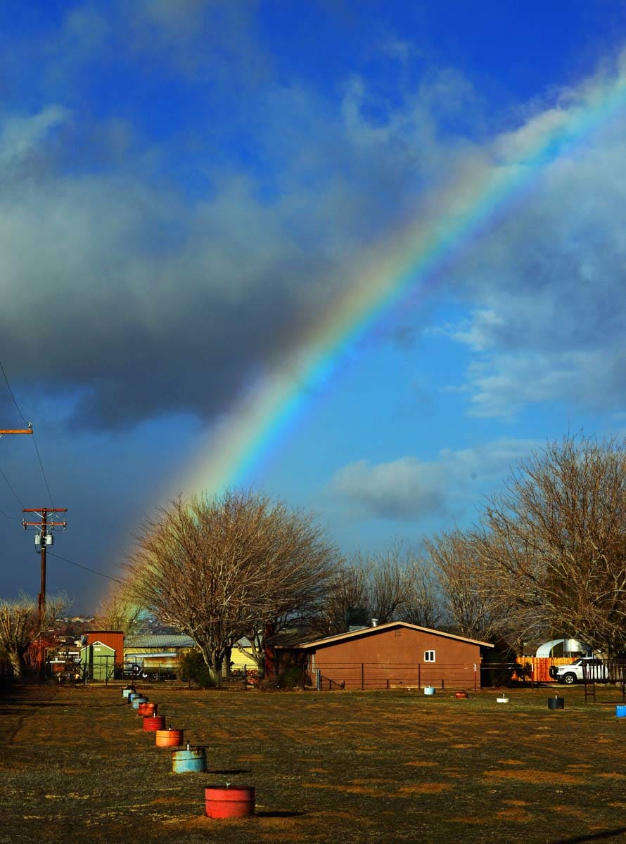 Rainbow Ranch by Laurence Scott 