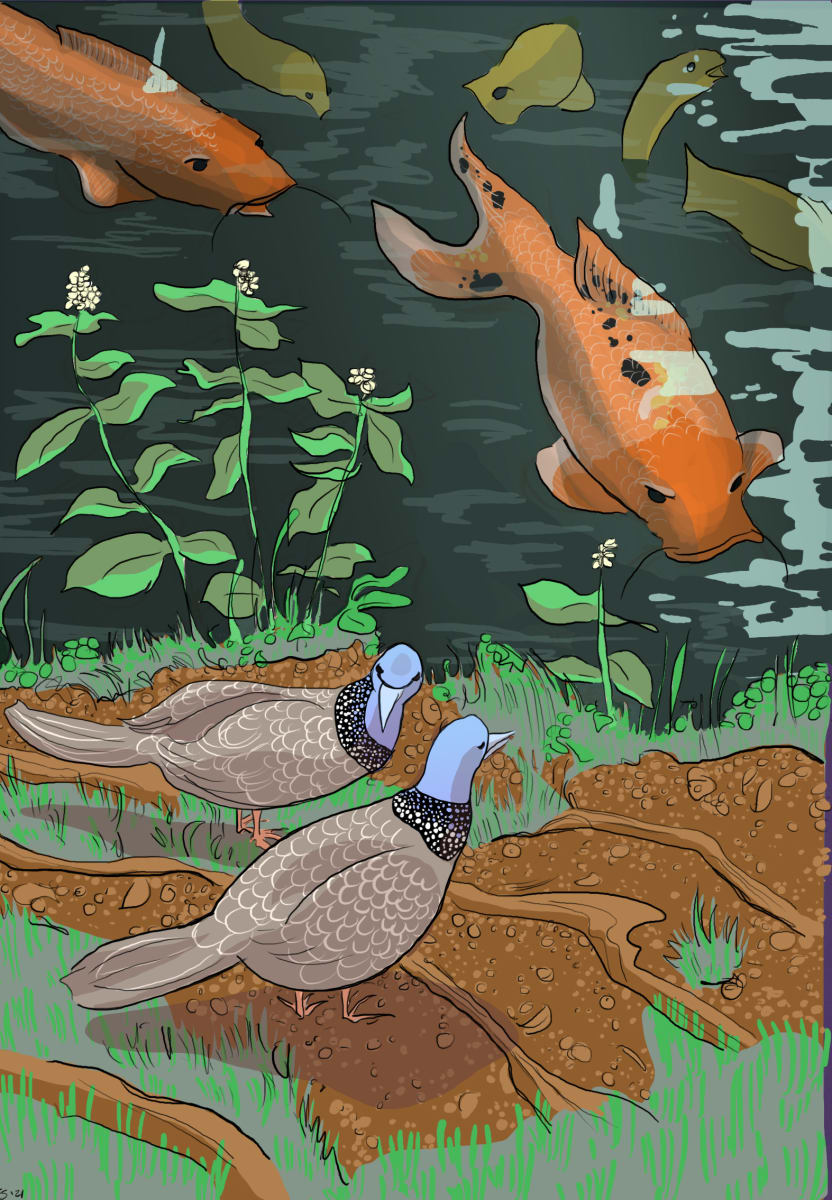 Hawaiian Wildlife by Melanie Sexton, Image 10.