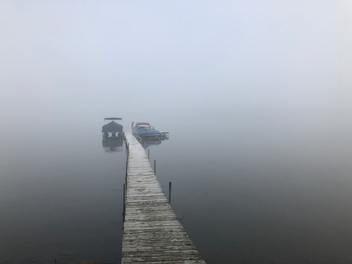 Morning Mist by Elizabeth Shawaker 