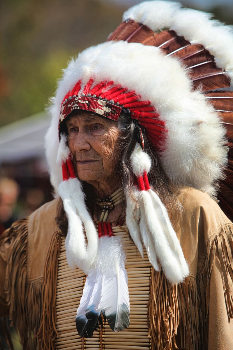 American Native Indian by Joyce Shelton 