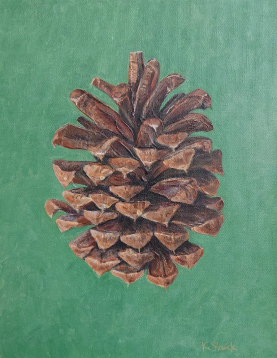 Pinecone Study-Ode to Murdock by Kristen Slavick 