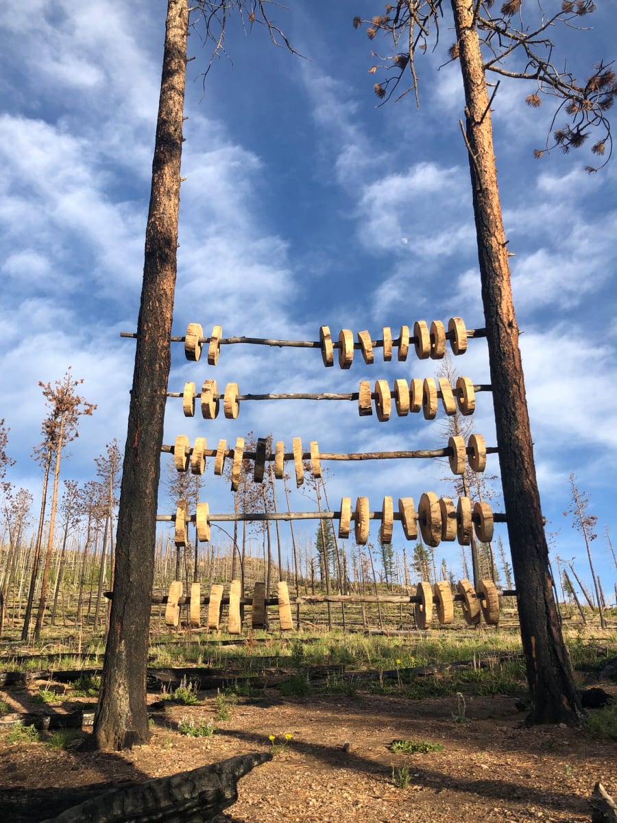 Learning to Count (High Park Fire) by MD Smith 