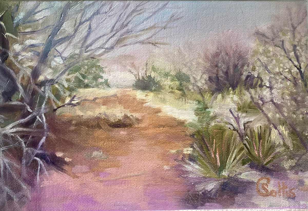 Desert Snow by Cheryl Soltis 