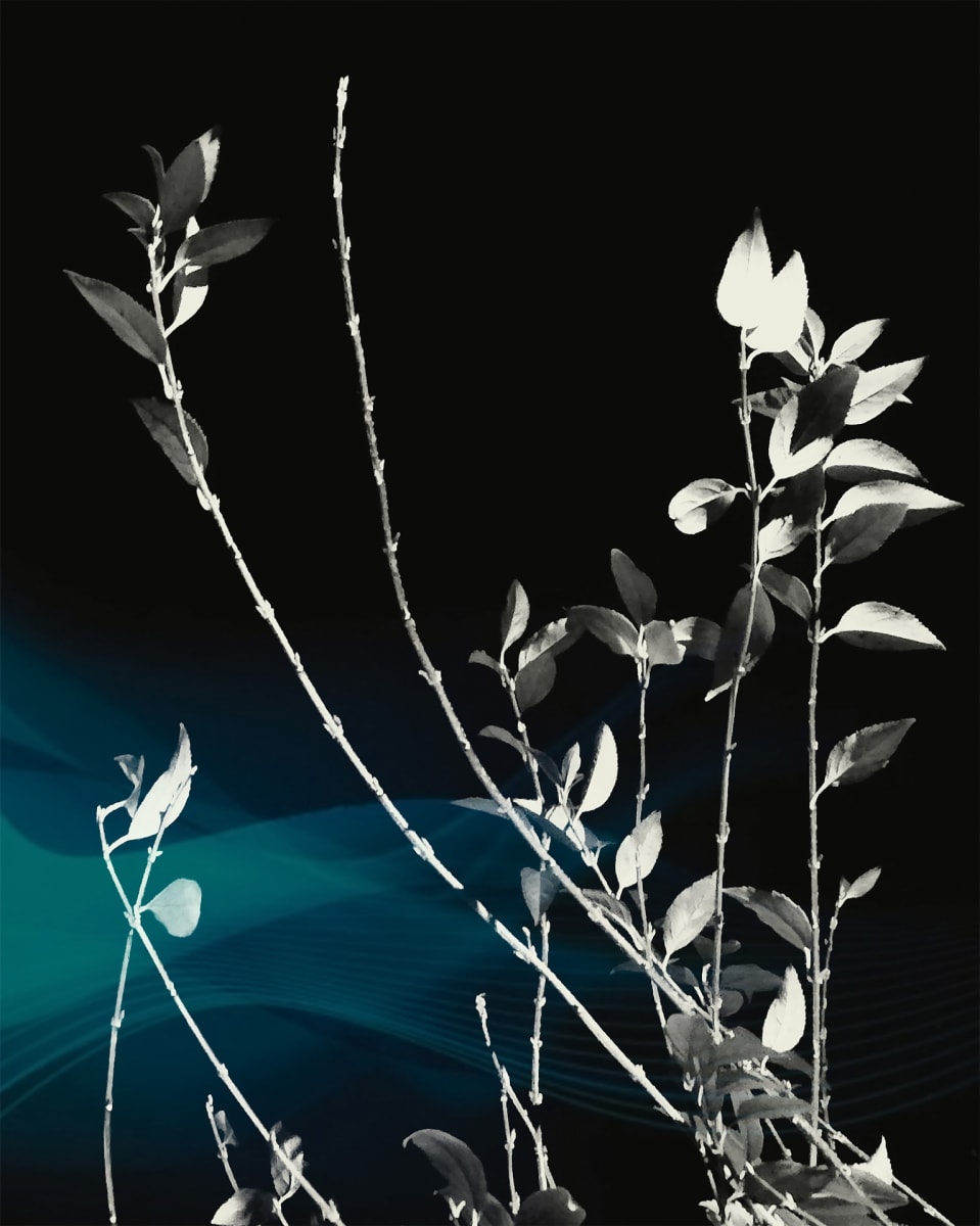 Blue Wave Crashes Into the Night by Louis Staeble, Image 3.