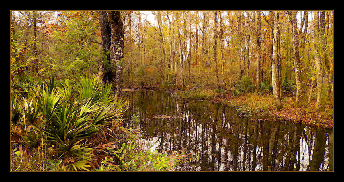 St. Mark's River at Two Bridge Road by Richard P. Stevens 