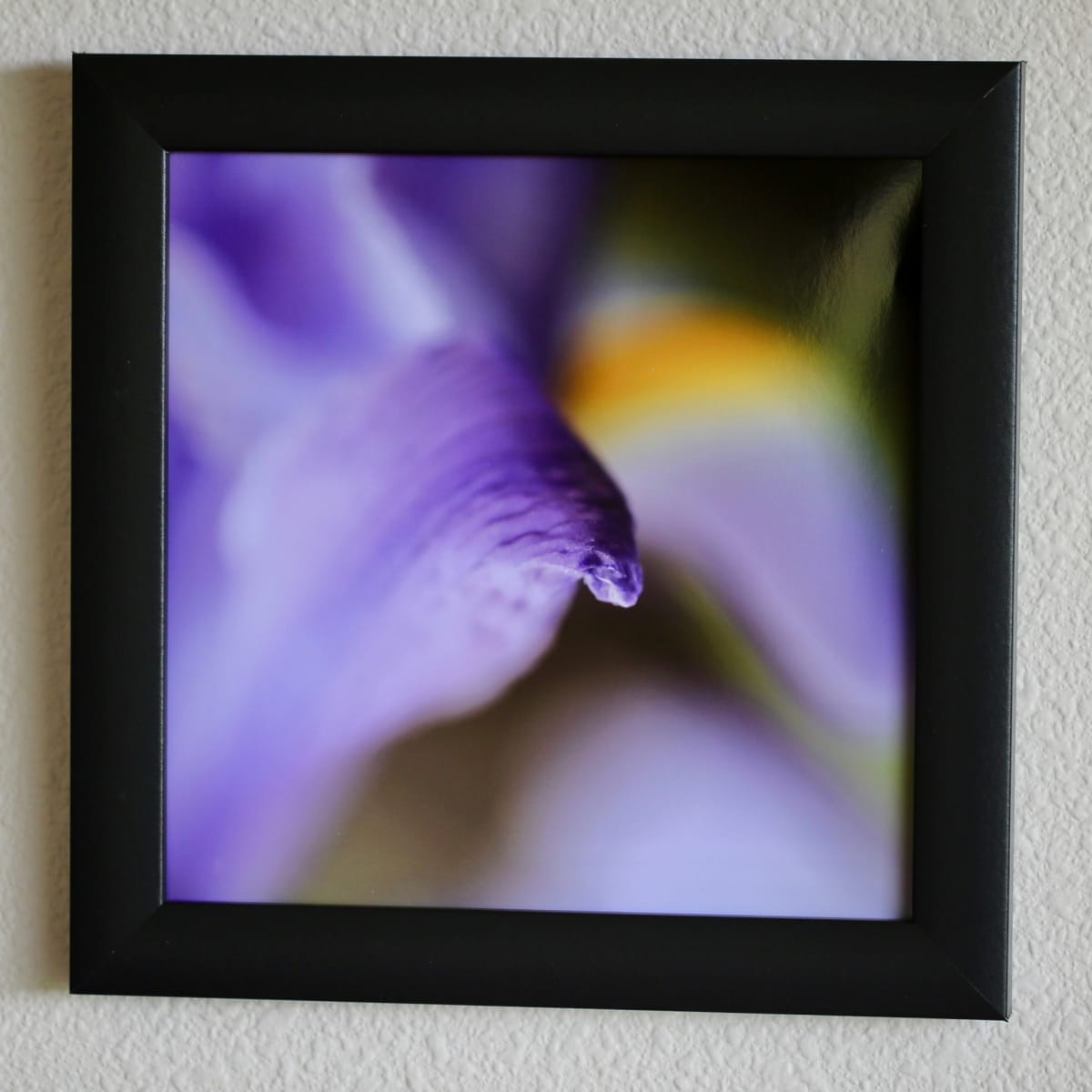 Iris Close Up by Louise Stivers 