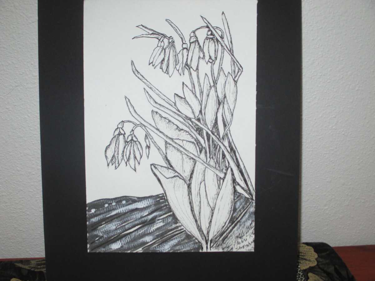 Early Snowdrops by Terri K. Stromberg, Image 6.