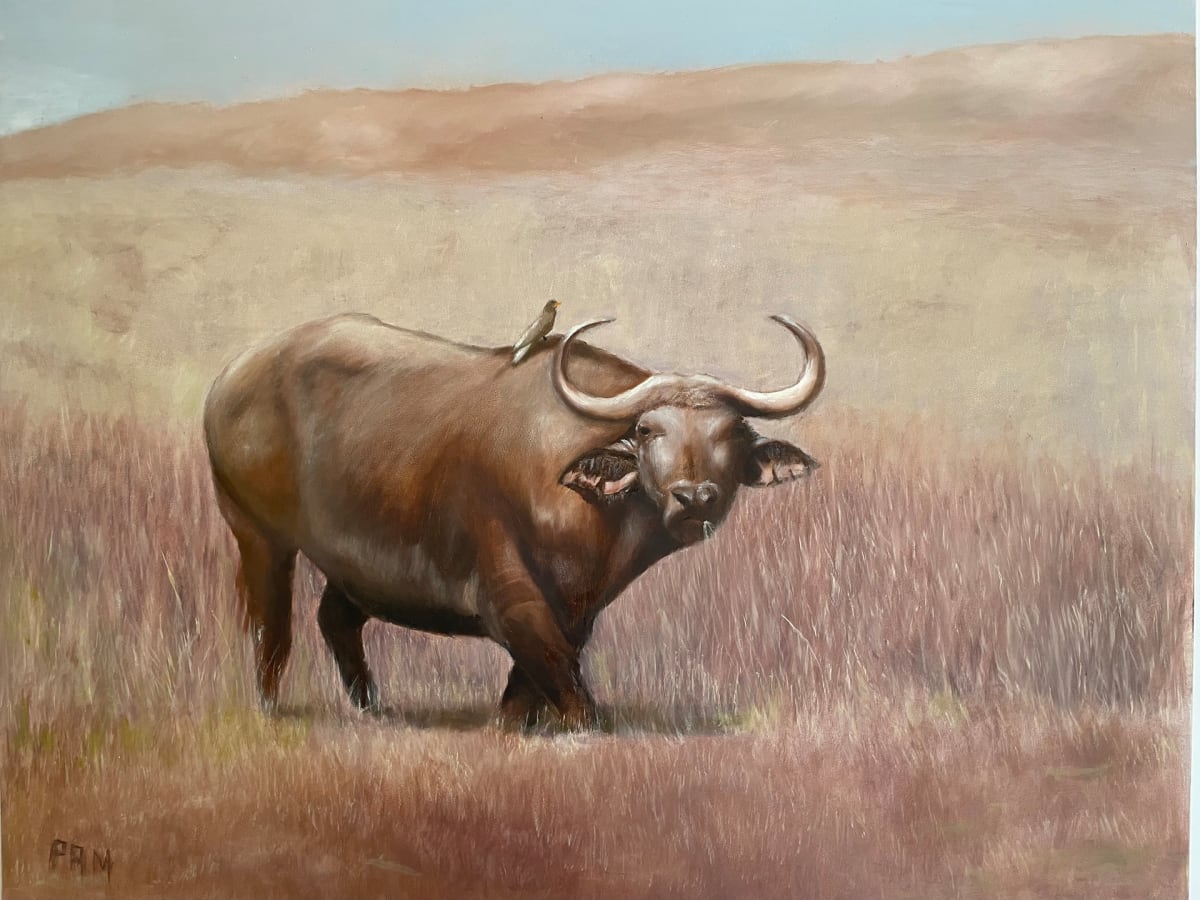 Cape Buffalo by Pamela Sullivan 