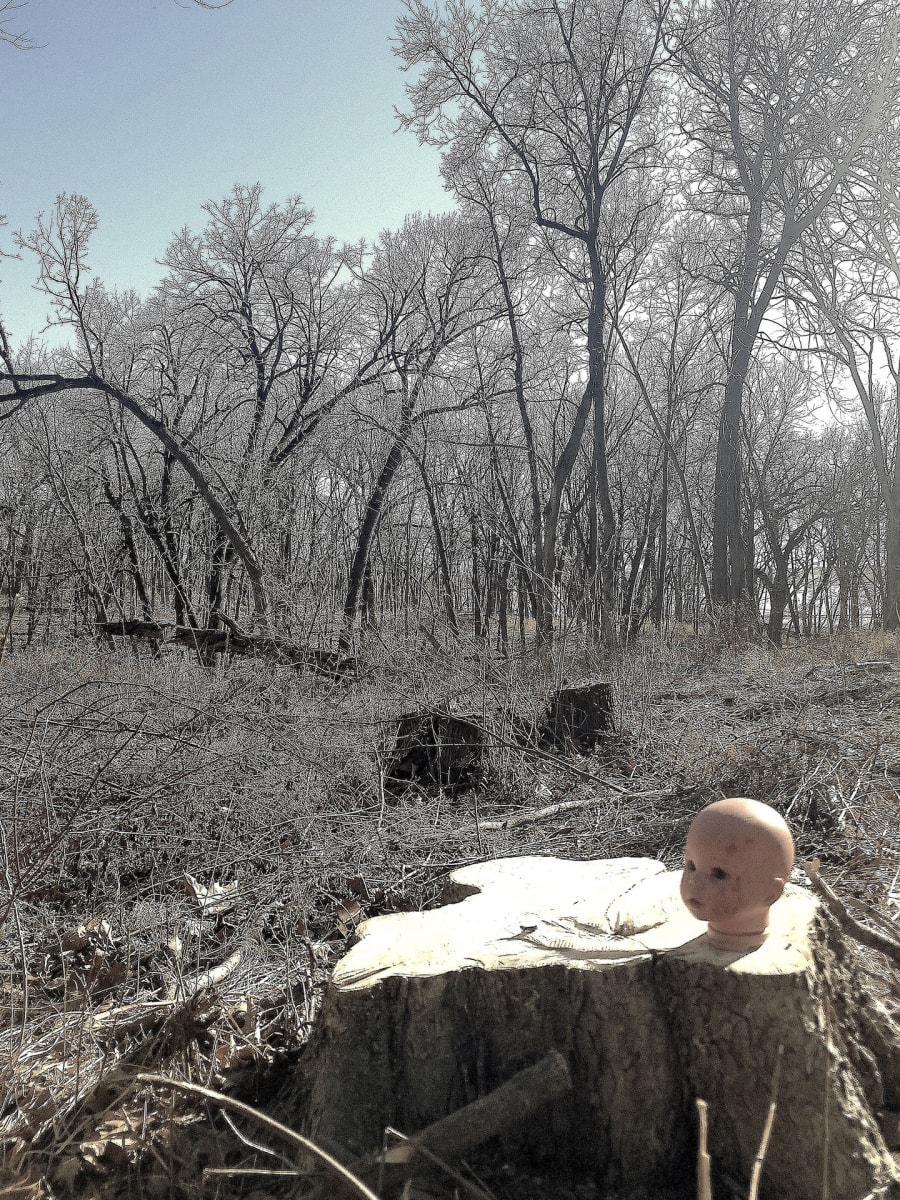 Stumped Dolls Head III by Robert Sunderman, Image 18.