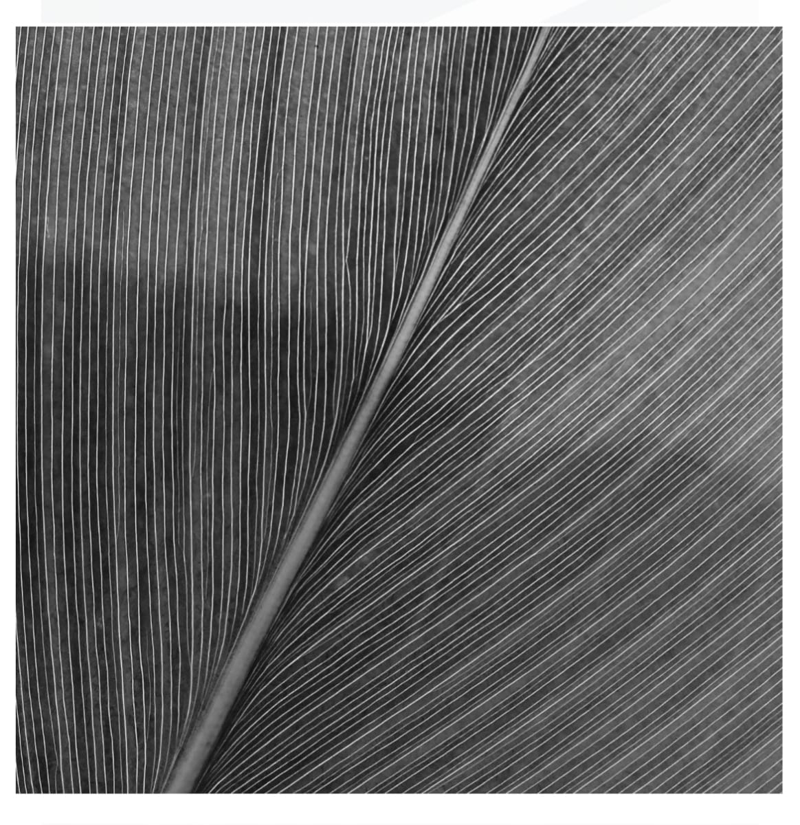 Bali by Steve Sweitzer, Image 10.