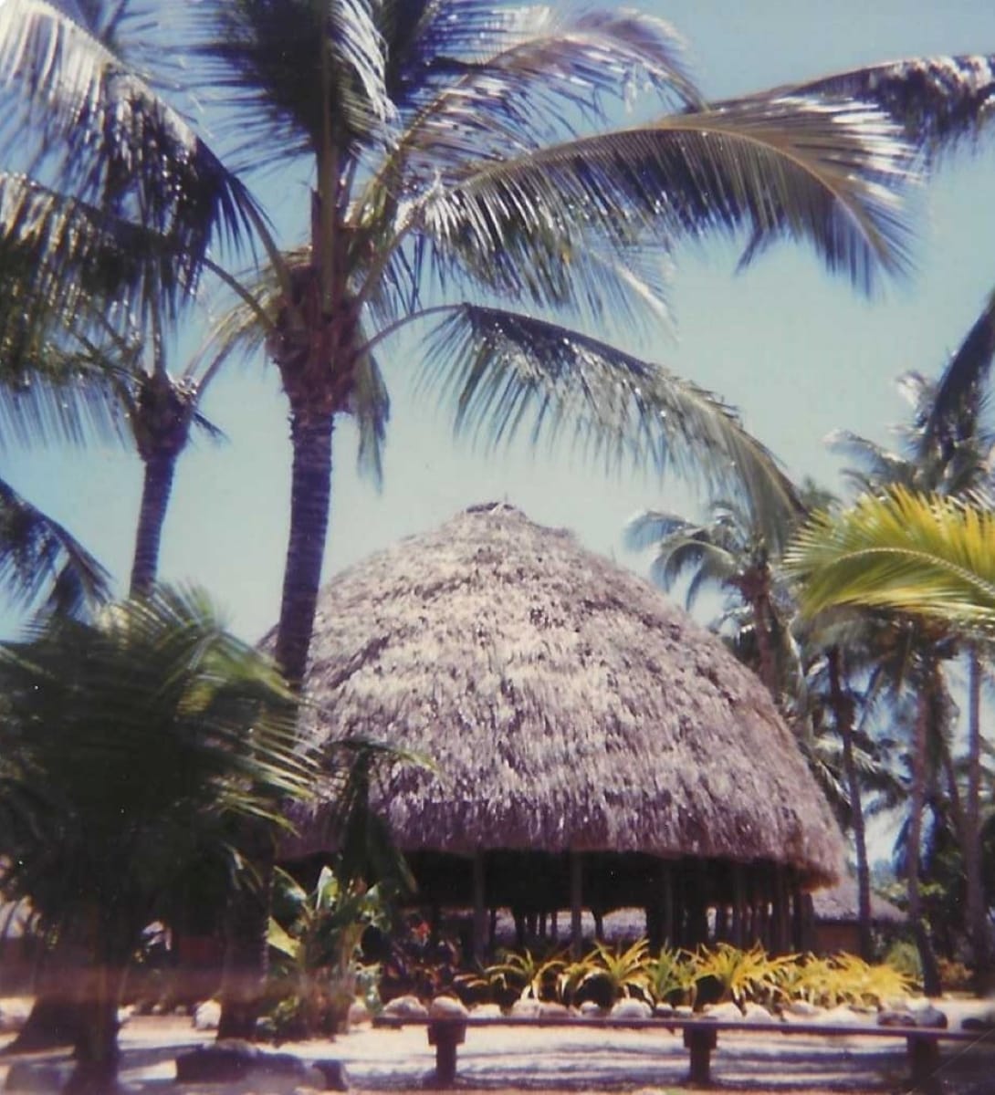 Polynesian Scene by Renee Szostek 