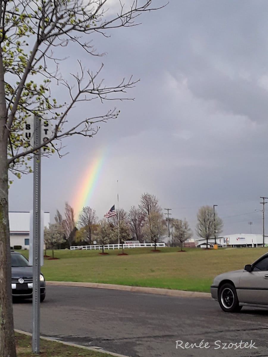 Waiting for the Bus by Renée Szostek, Image 16.