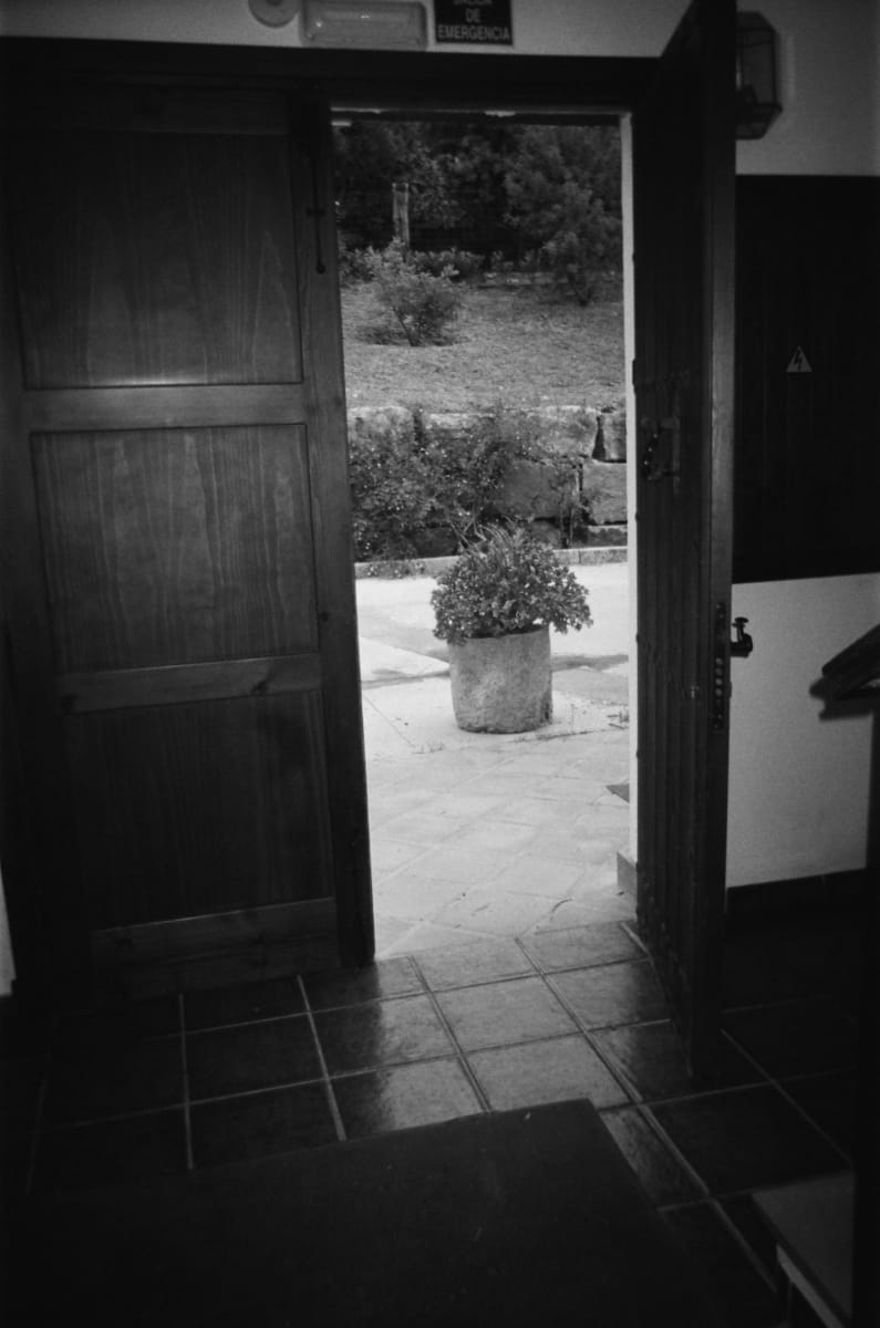 Domesticated - Photography by C. Tai Tai, Image 13.