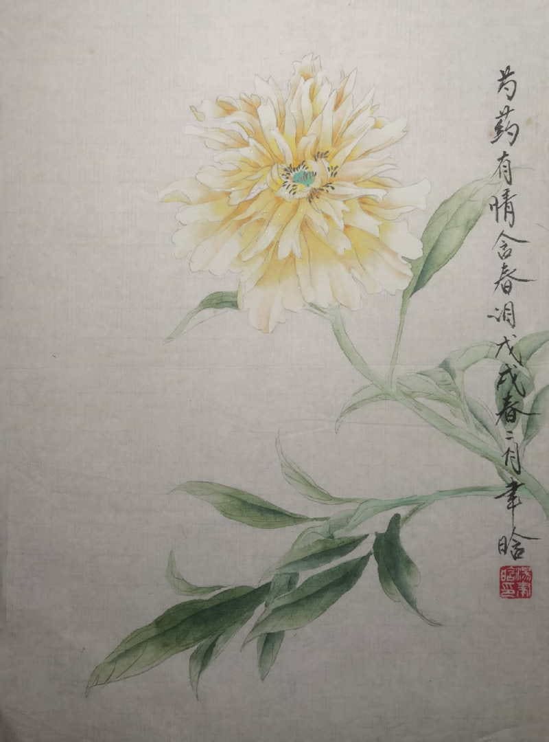 Chinese Herbaceous Peony by Amy Tang 