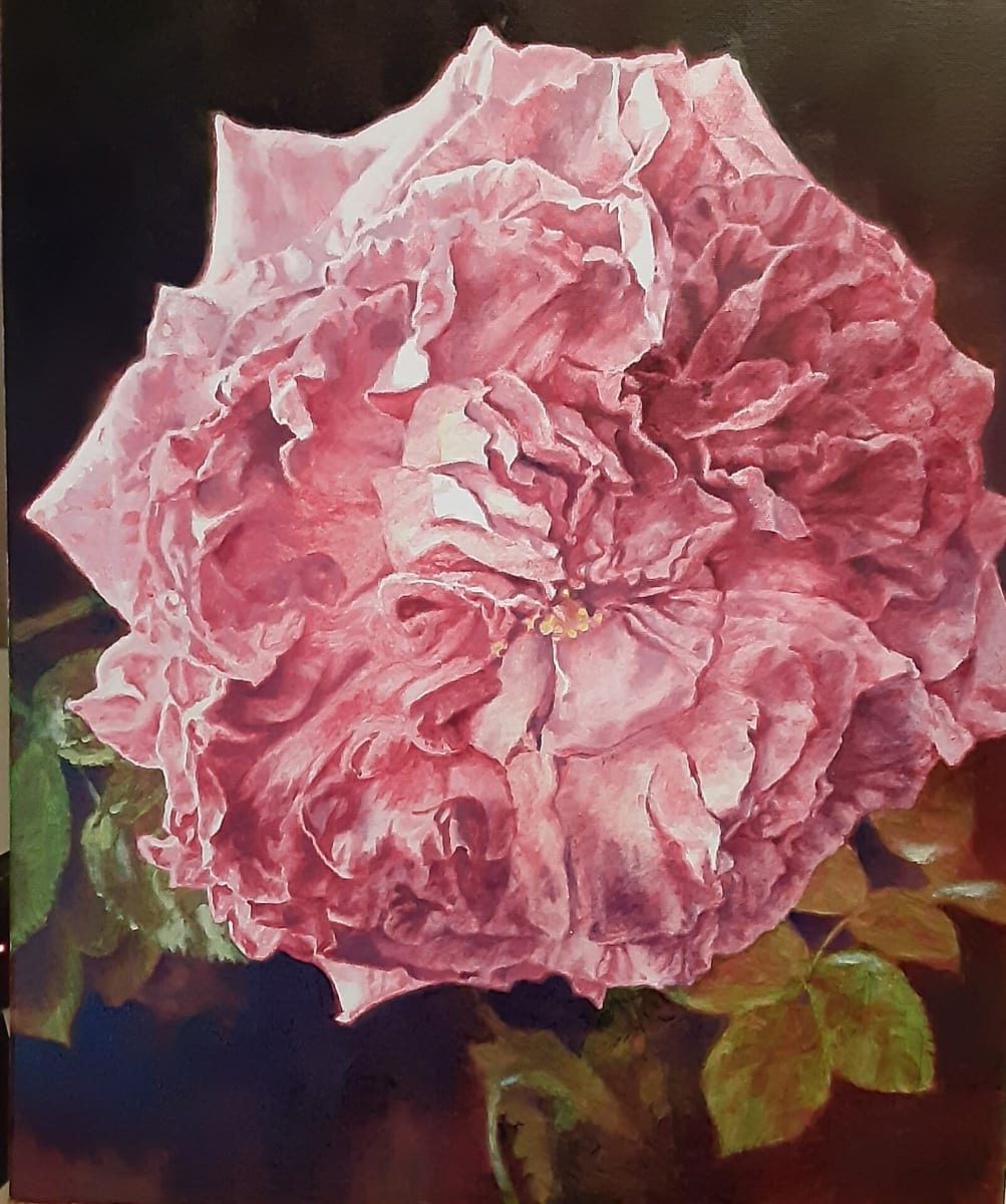 Hypolitte Rose by Kathleen Terra 