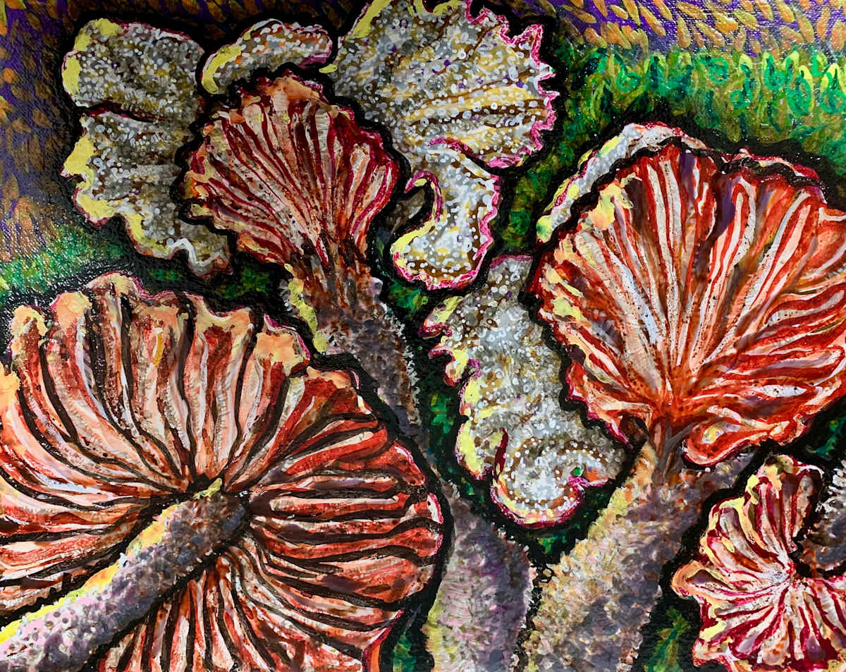 Deceiver Mushrooms by Jonas Thaler, Image 12.