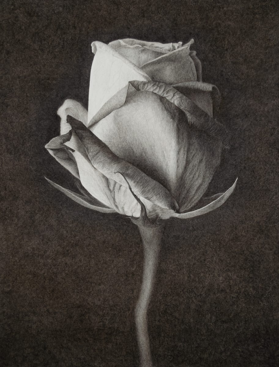 135 by ToniRose, Image 1.