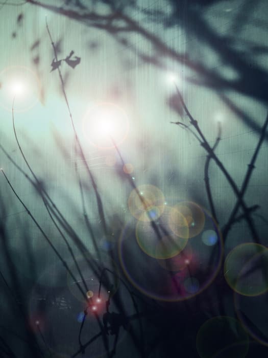 Proximus Studium 337 by Daniel Tossing, Image 19.