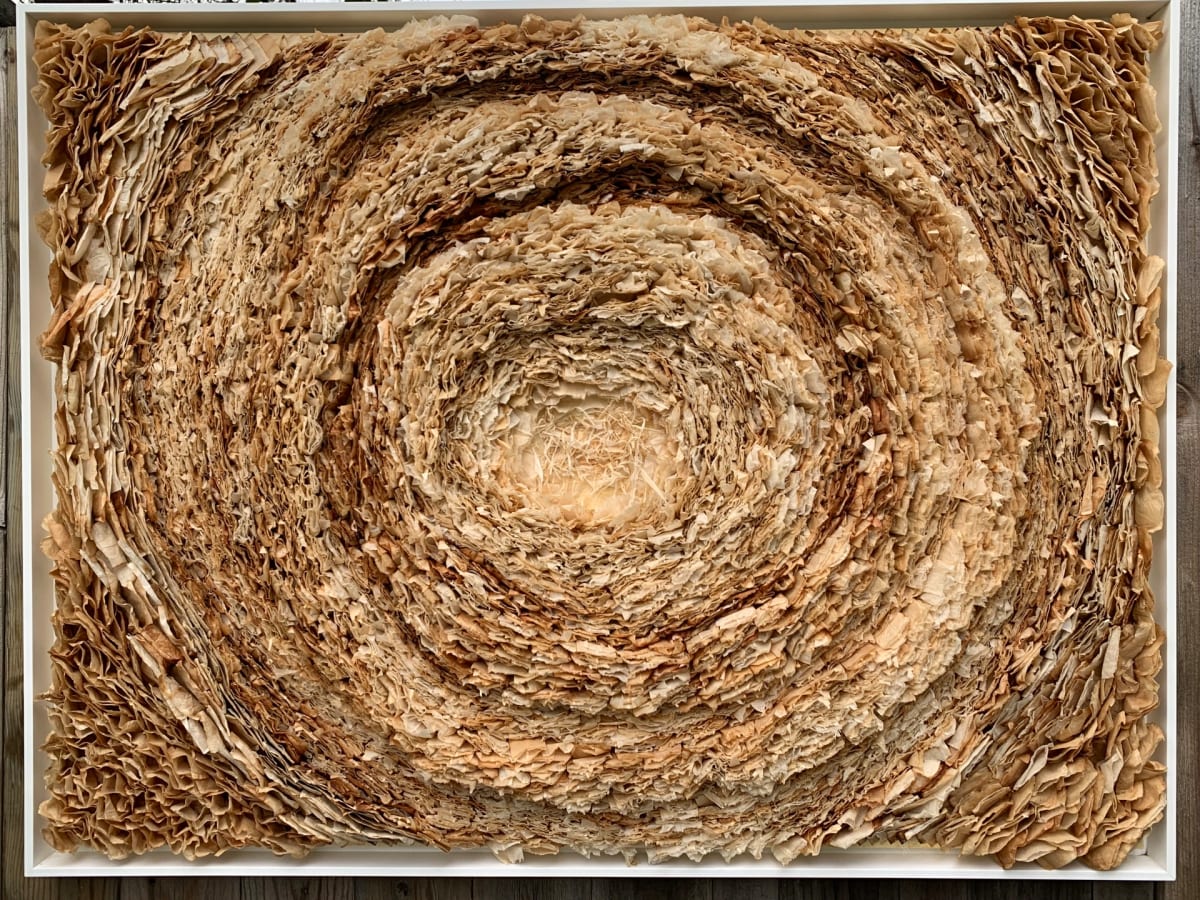 Evolution by Jayne Tucker, Image 10.