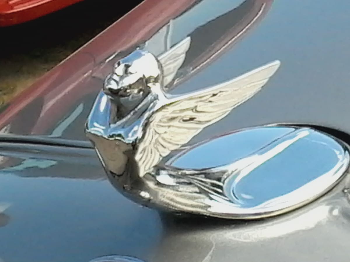 Racing Wings (Antique Hood Ornament) by MaryAnn Valla 