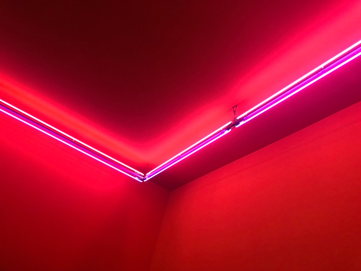 Cheap Hotel by Miriam Schulman, Image 6.