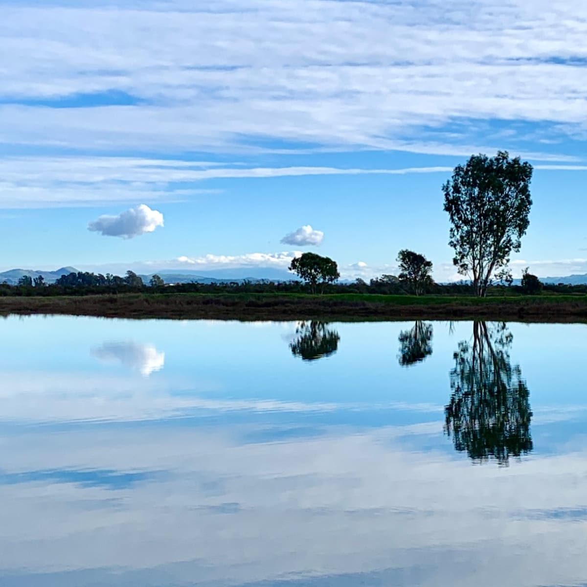 Buchli Reflections by Maggy Walton 