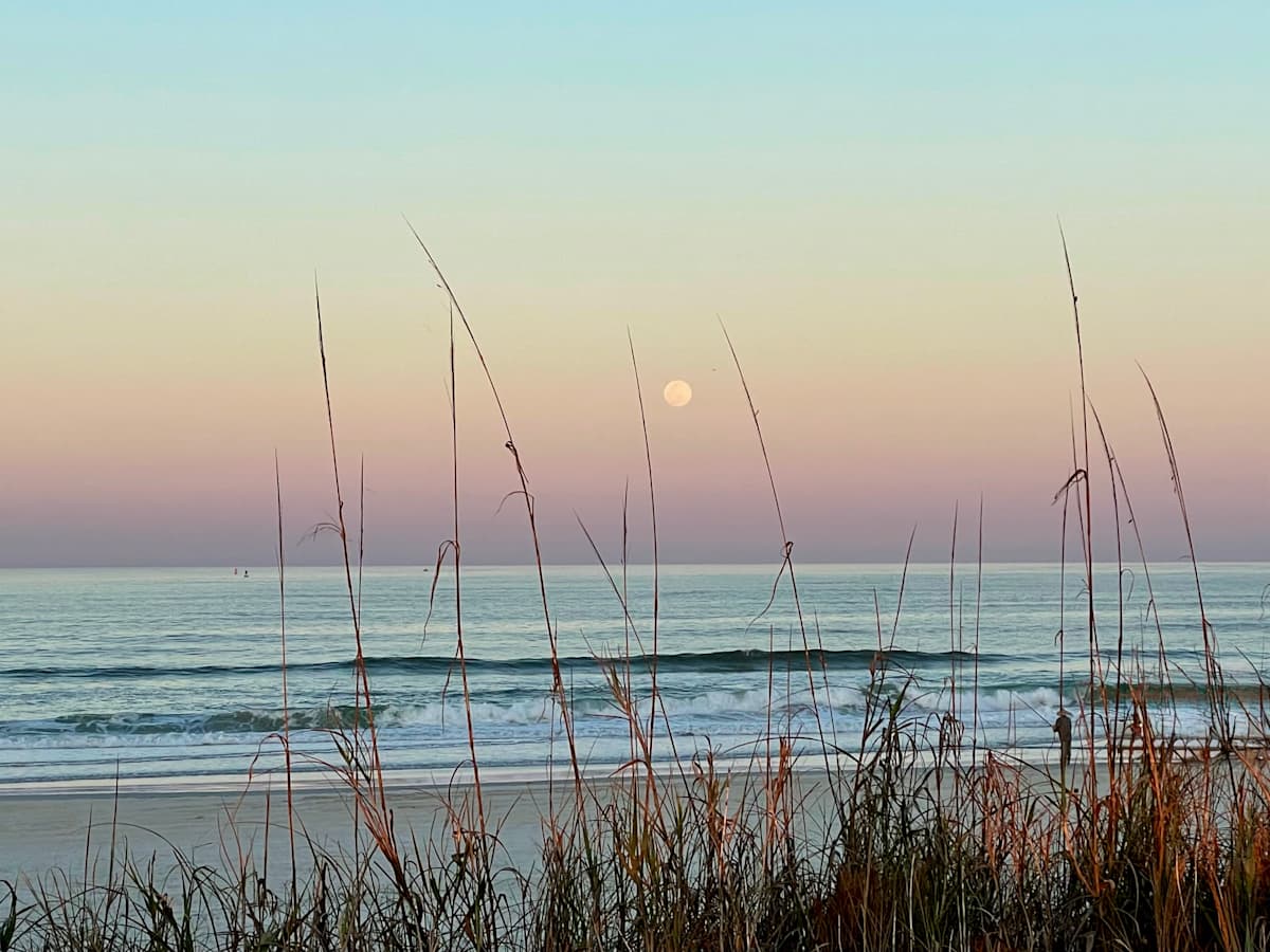 Sunset Moonrise by Eileen Warner, Image 1.