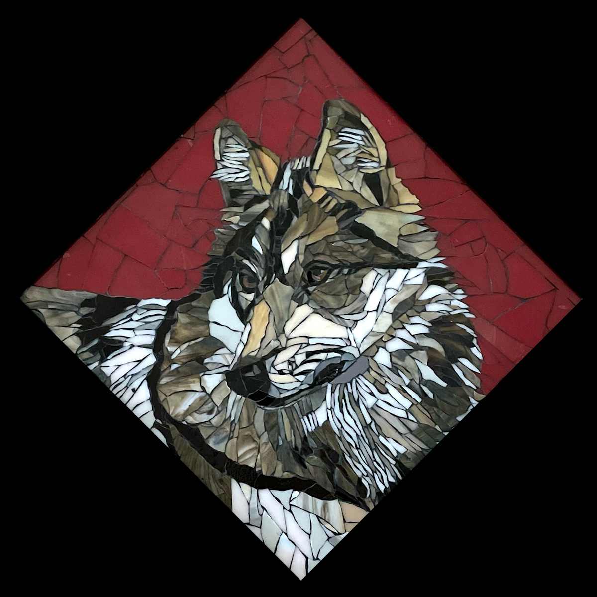 Mexican Wolf by Karla Watson 