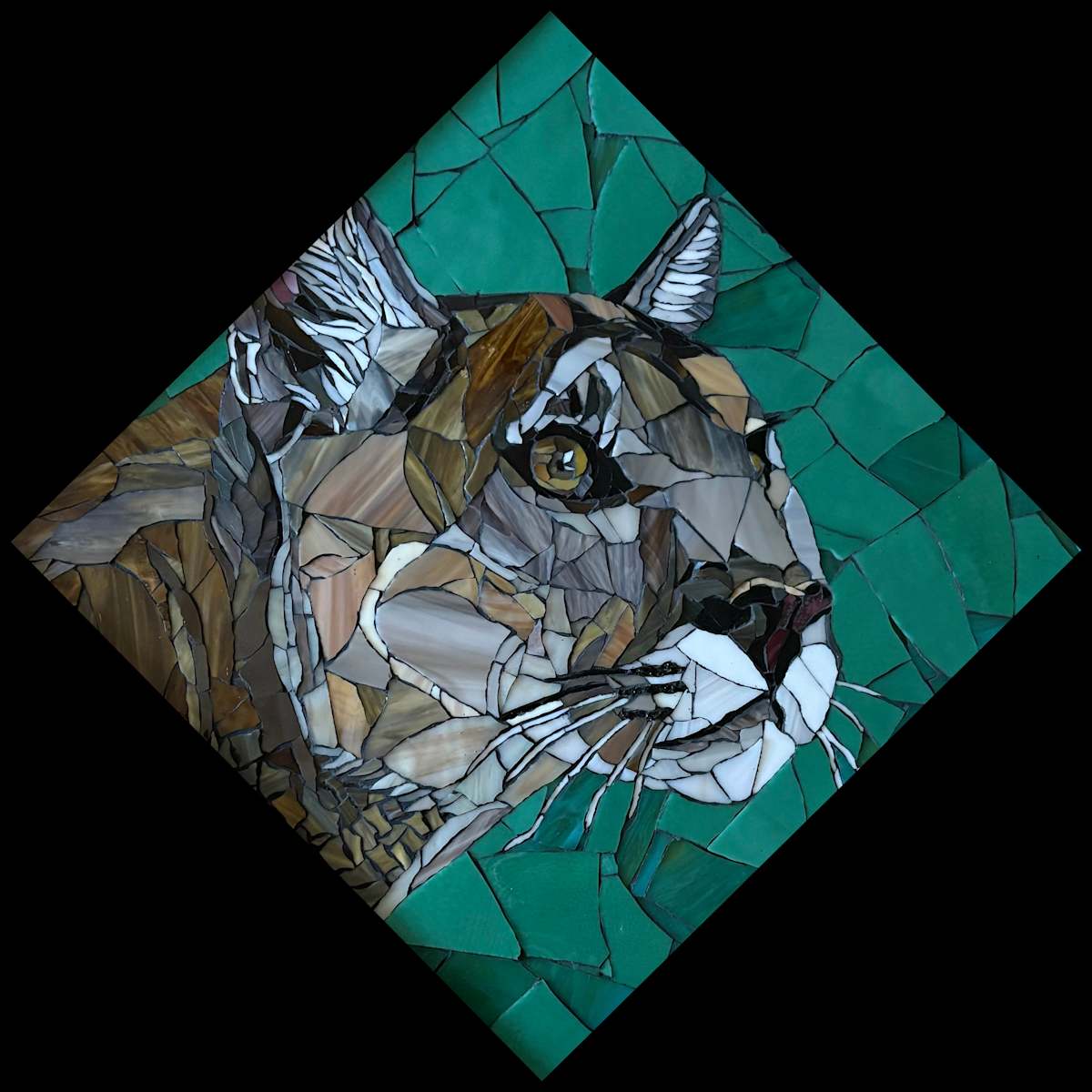 Mountain Lion by Karla Watson 