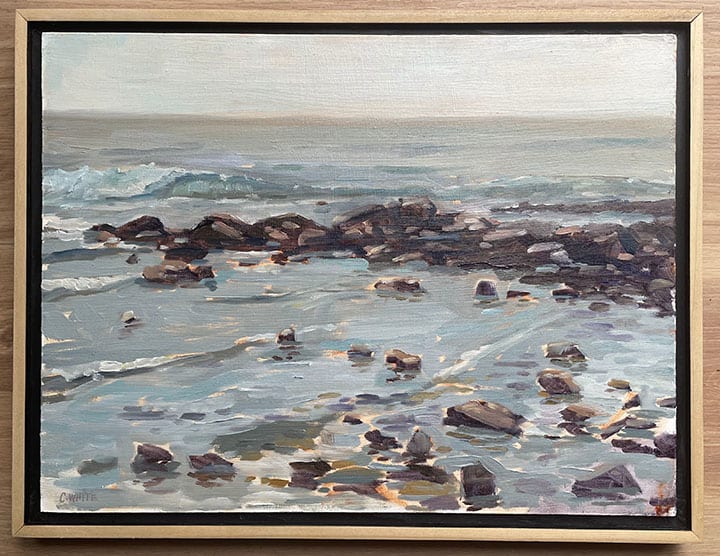 San Pedro Tide Pools by Craig White 