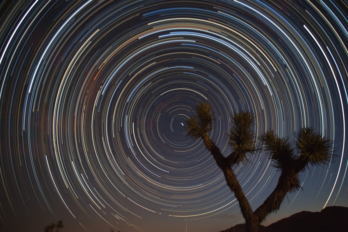 Star Trails by Michael Wicks 