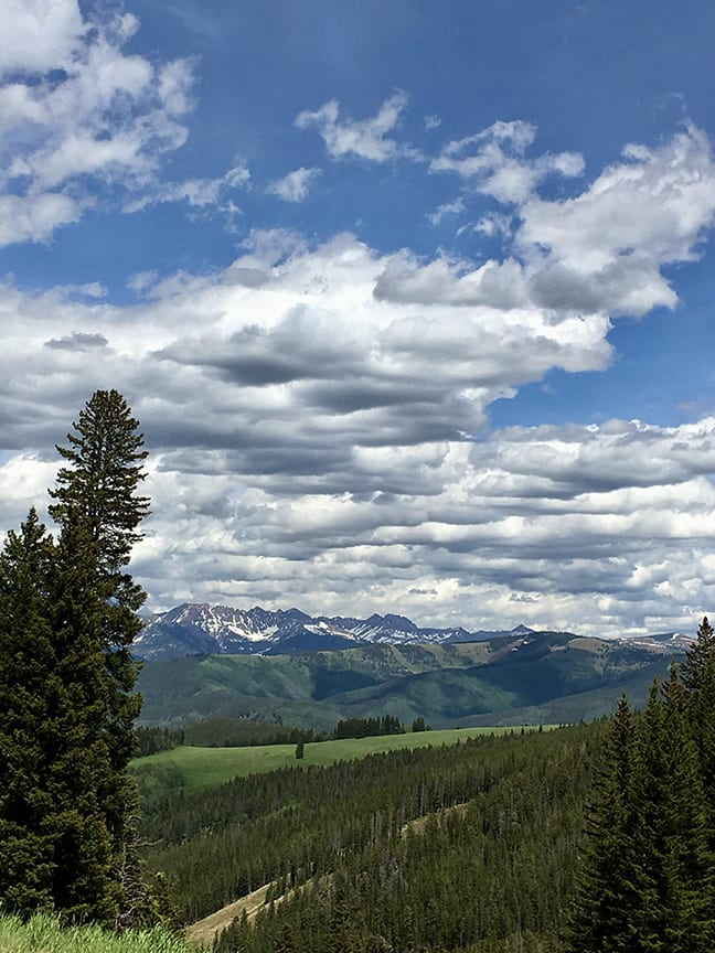 Colorado Plateau by Tracey Dean Widelitz 