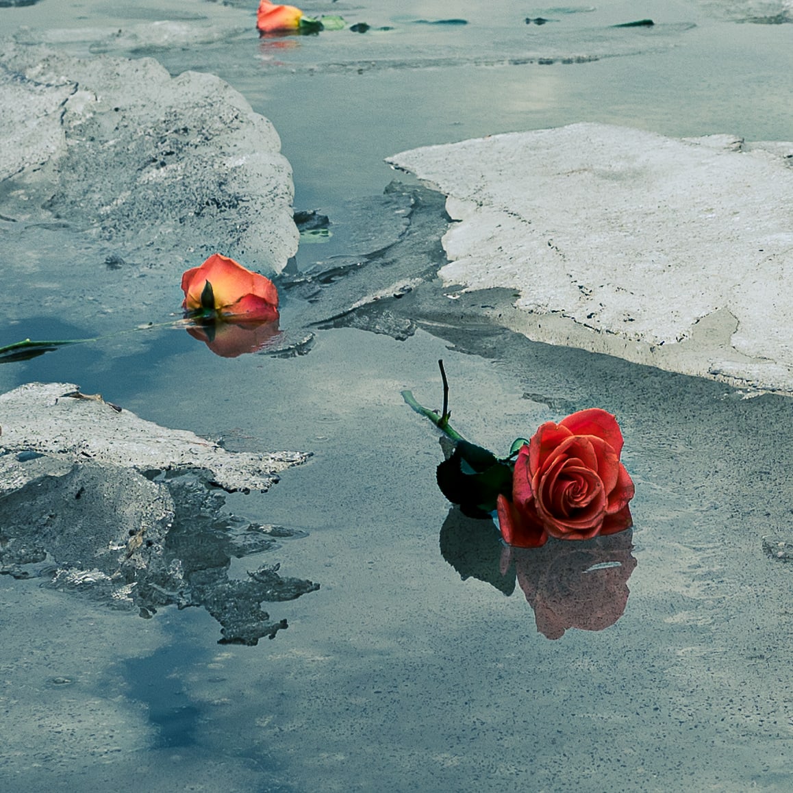 Break-ups by Matthew Wierzbowski, Image 1.