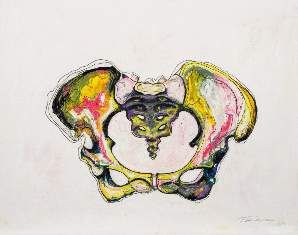 Pelvis by Sarah Wolfe 