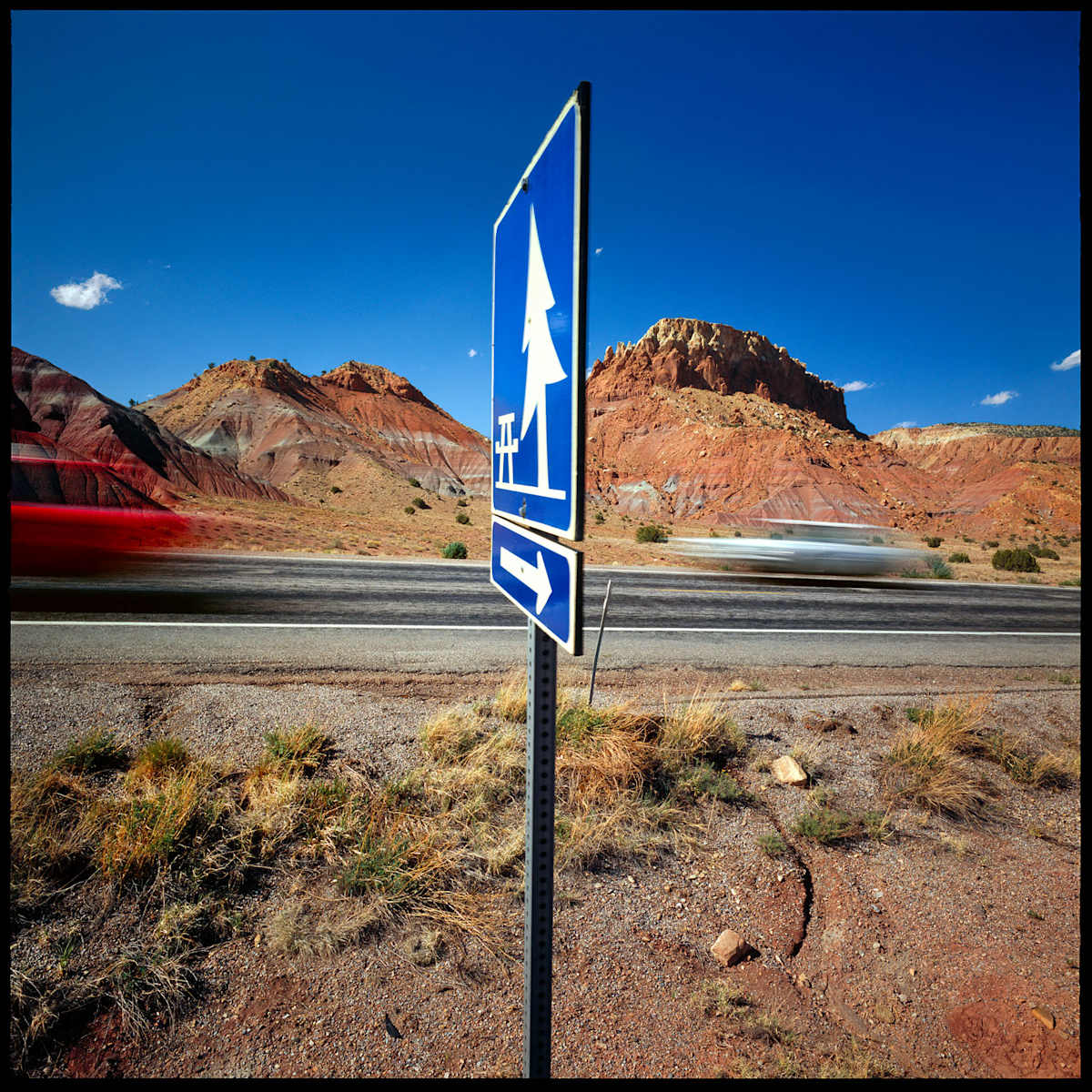 Which Witch by David Wollmann, Image 3.