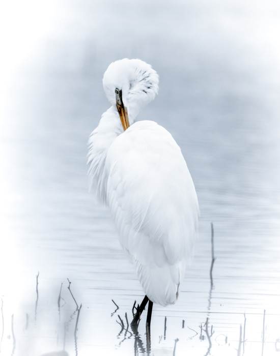 Unspoken Grace by Kathryn Wong, Image 1.